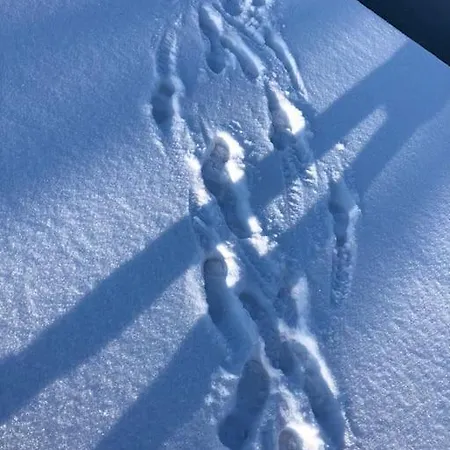 Haus An Fluss Und Prázdninový dům *