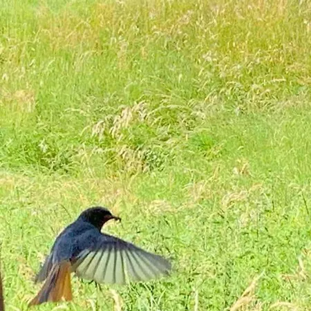 Haus An Fluss Und * Gartow