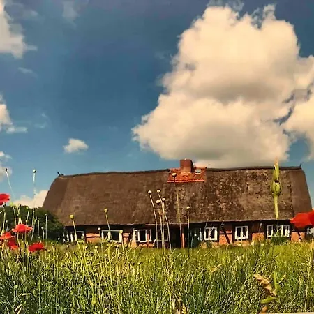 Prázdninový dům Haus An Fluss Und Gartow