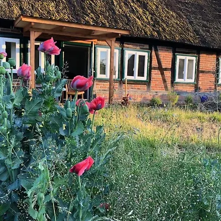 Haus An Fluss Und *