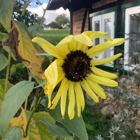 Haus An Fluss Und Dom wakacyjny Gartow