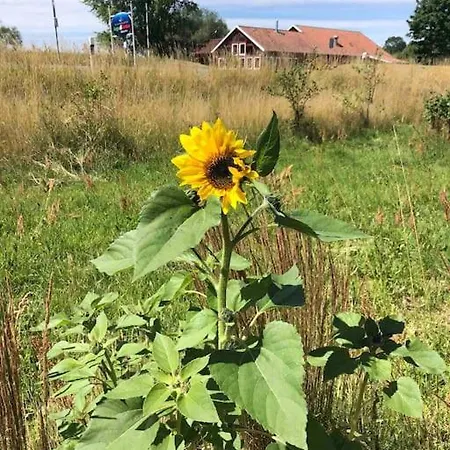 Haus An Fluss Und Prázdninový dům