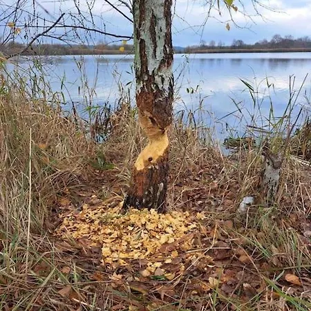 Haus An Fluss Und Gartow