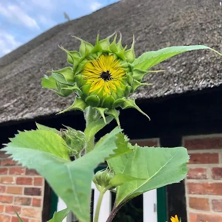 Haus An Fluss Und Prázdninový dům