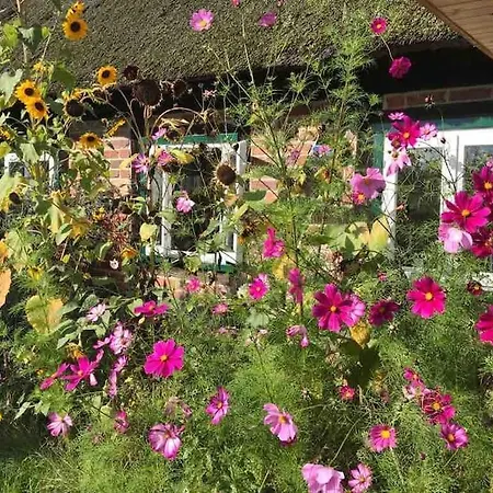 Dom wakacyjny Haus An Fluss Und Gartow