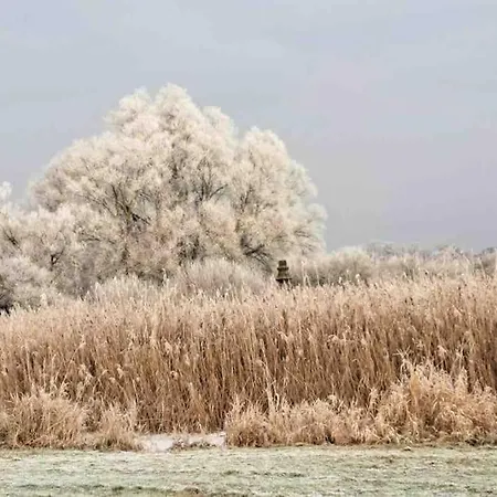 Prázdninový dům Haus An Fluss Und