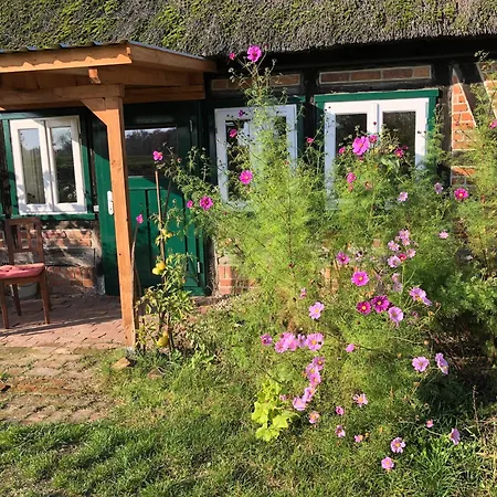 Haus An Fluss Und