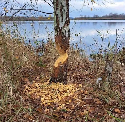 Haus An Fluss Und Gartow